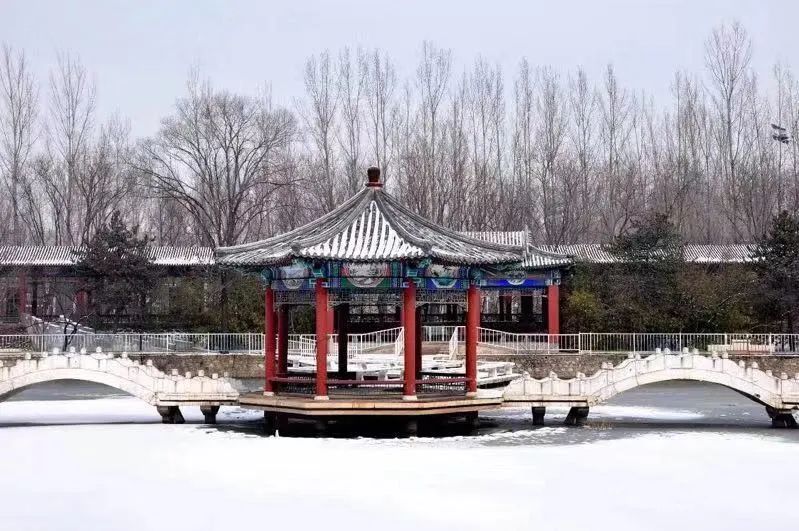 橘子